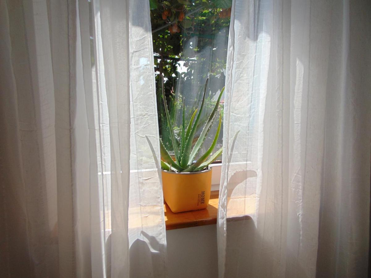 Apartments Petra Biograd na Moru Kültér fotó