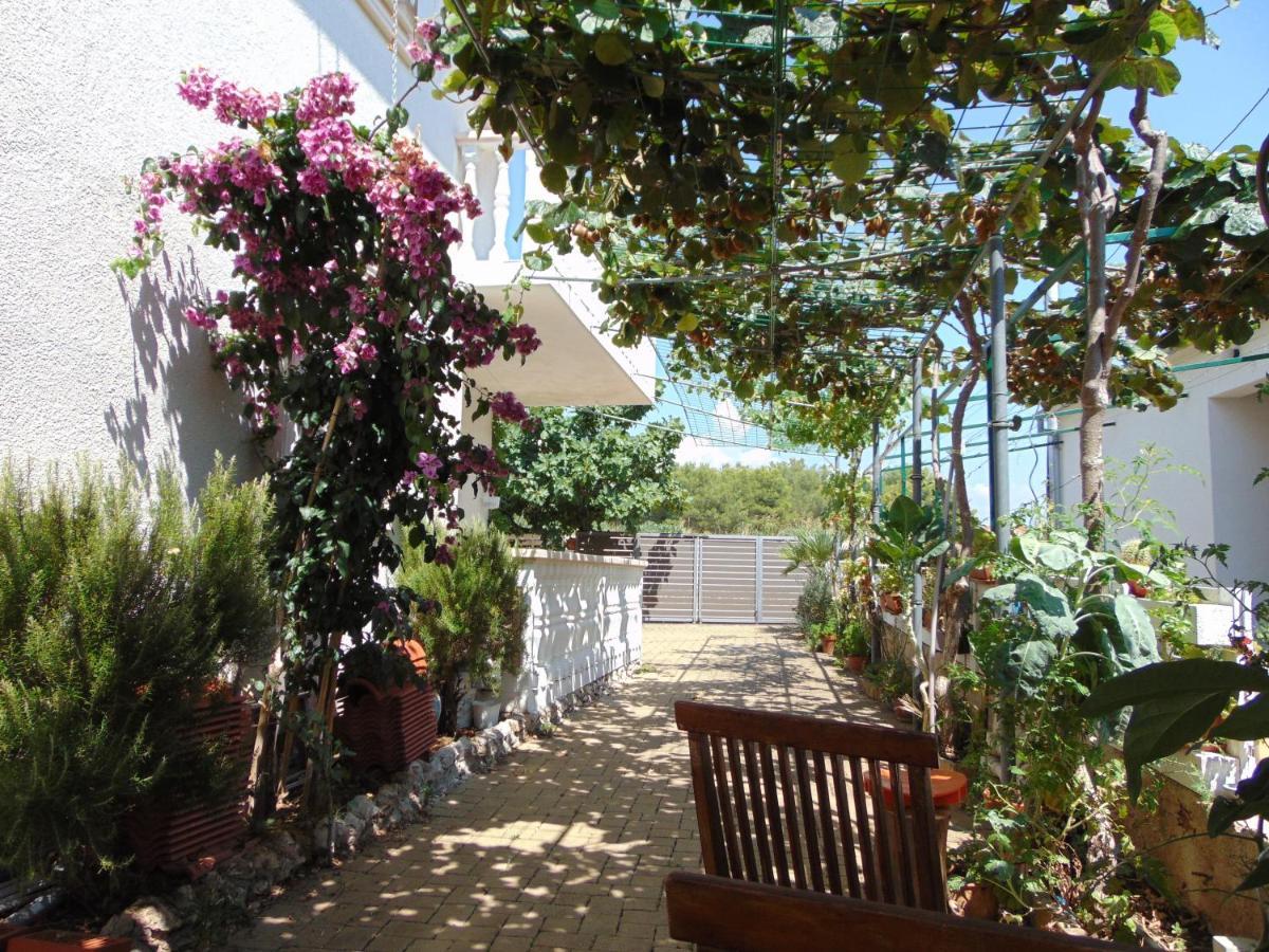 Apartments Petra Biograd na Moru Kültér fotó