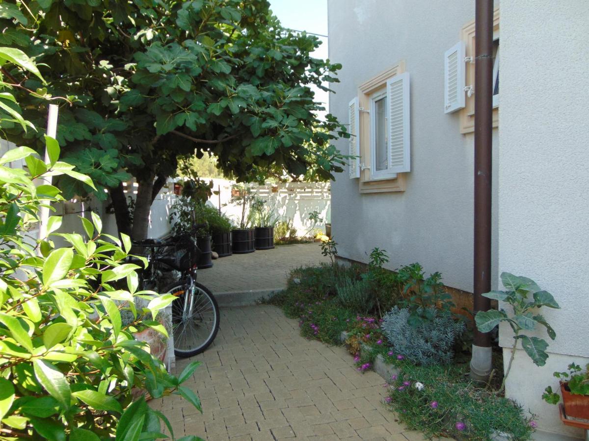 Apartments Petra Biograd na Moru Kültér fotó